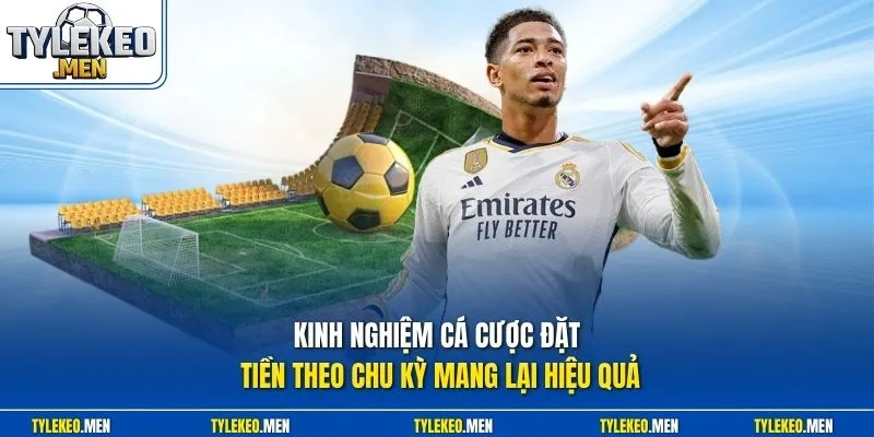 Kinh nghiệm cá cược đặt tiền theo chu kỳ mang lại hiệu quả